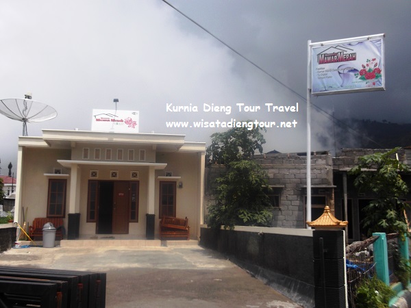 foto penginapan mawar merah dieng murah