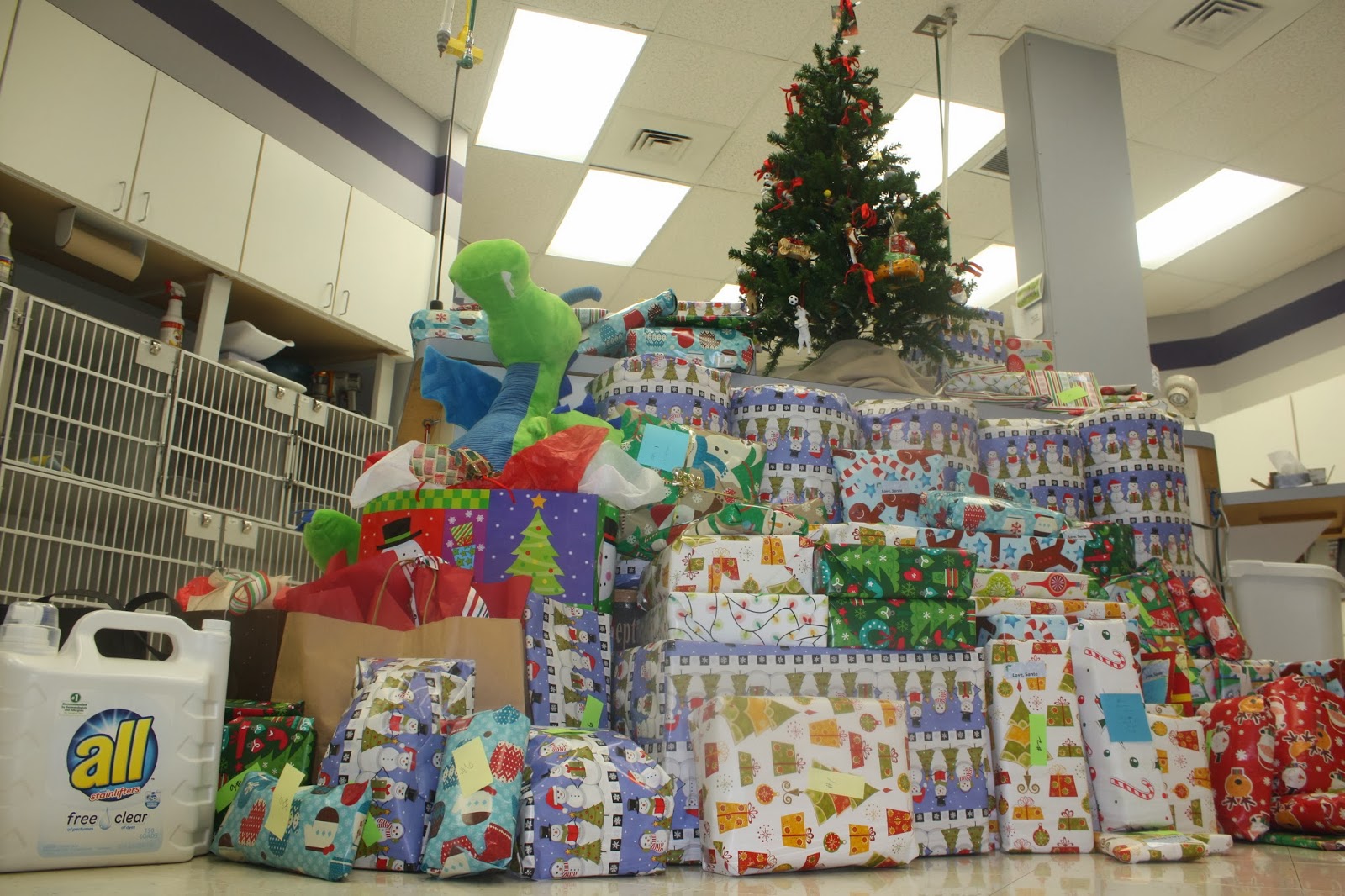 Kingsbrook Animal Hospital's Blog Kingsbrook Animal Hospital Gives Back to Local Frederick, Md