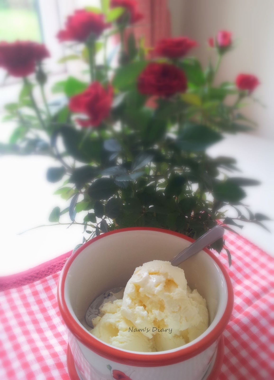Nam's Diary Homemade Vanilla Icecream {No Machine}