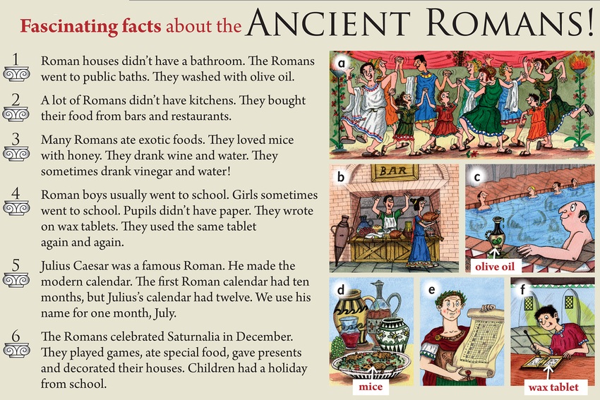 The romans homework help