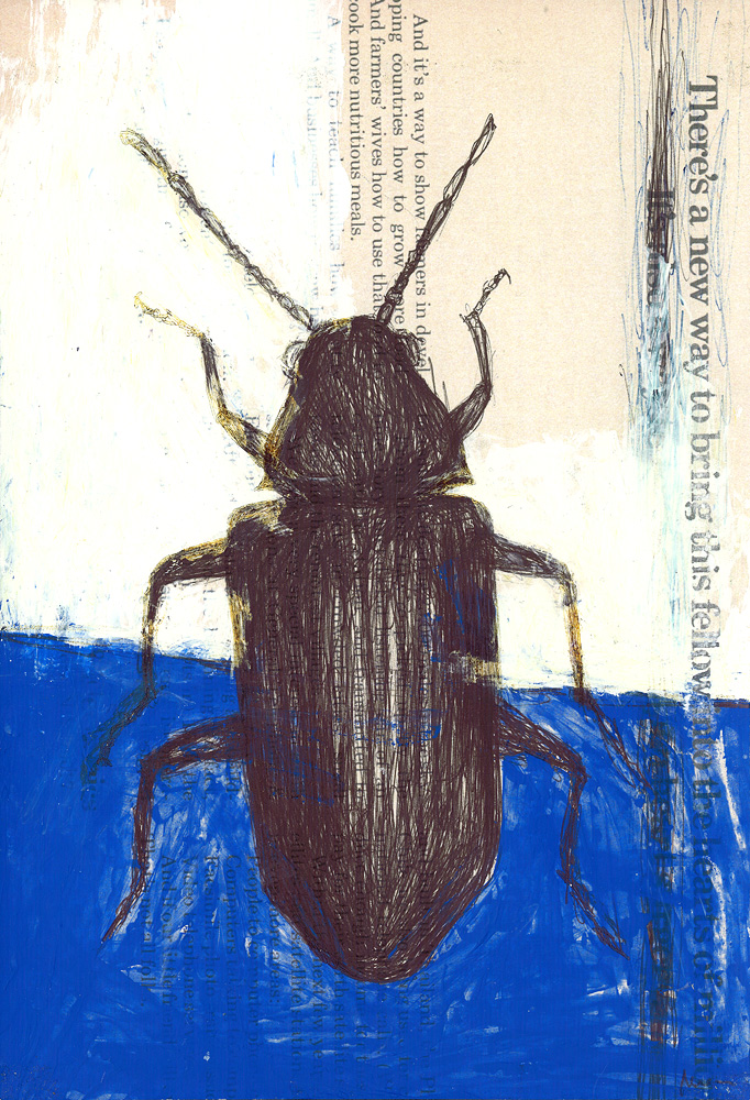 Beetle, 2007. pen and acrylic on found paper.