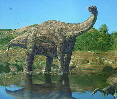 neuquensaurus.jpg