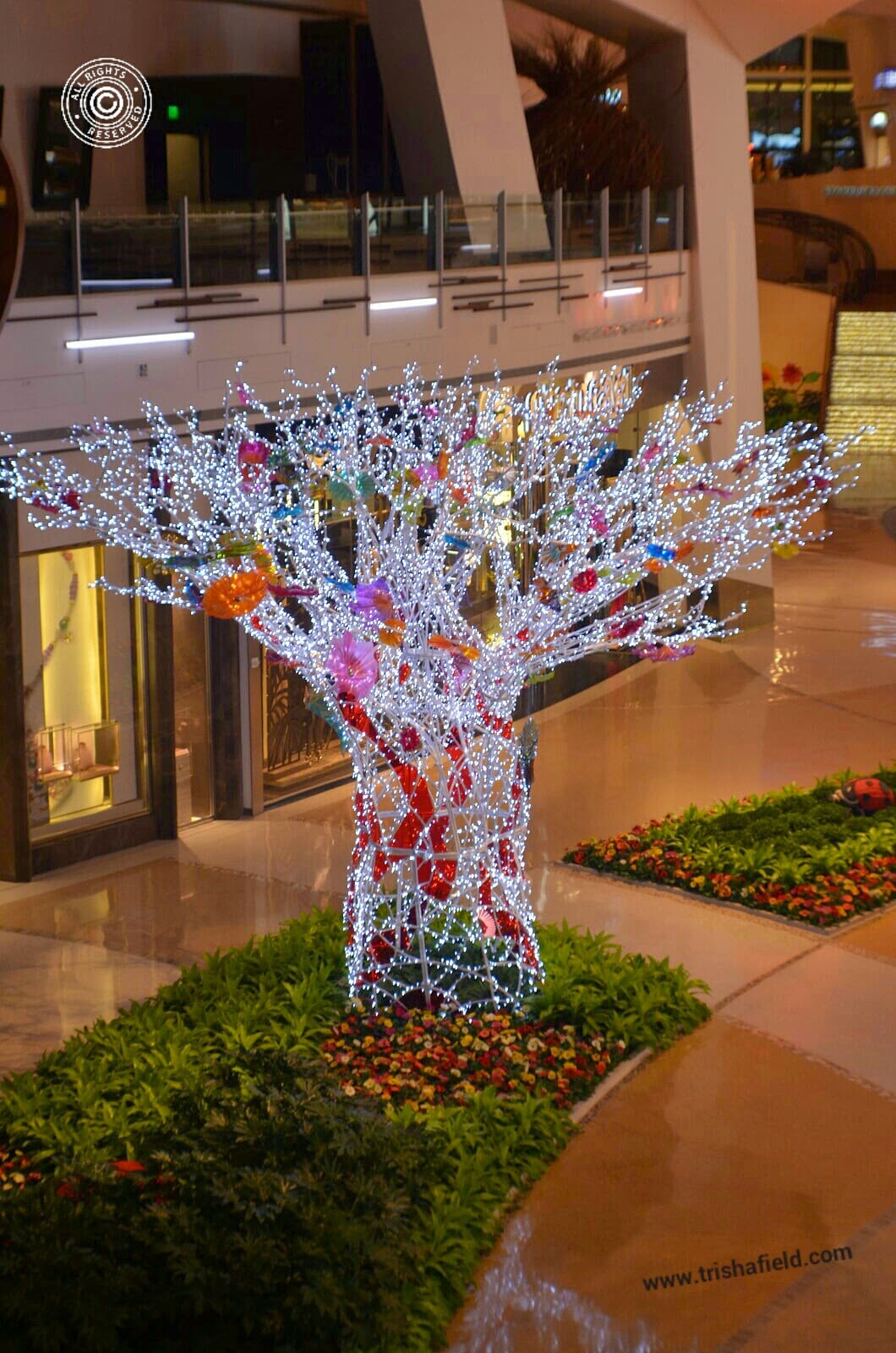 Glass Tree