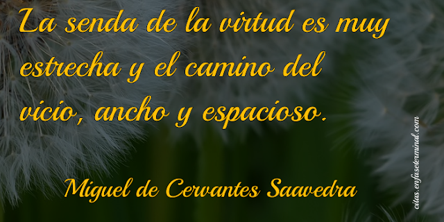La senda de la virtud es muy estrecha y el camino del vicio, ancho y espacioso.   Miguel de Cervantes Saavedra
