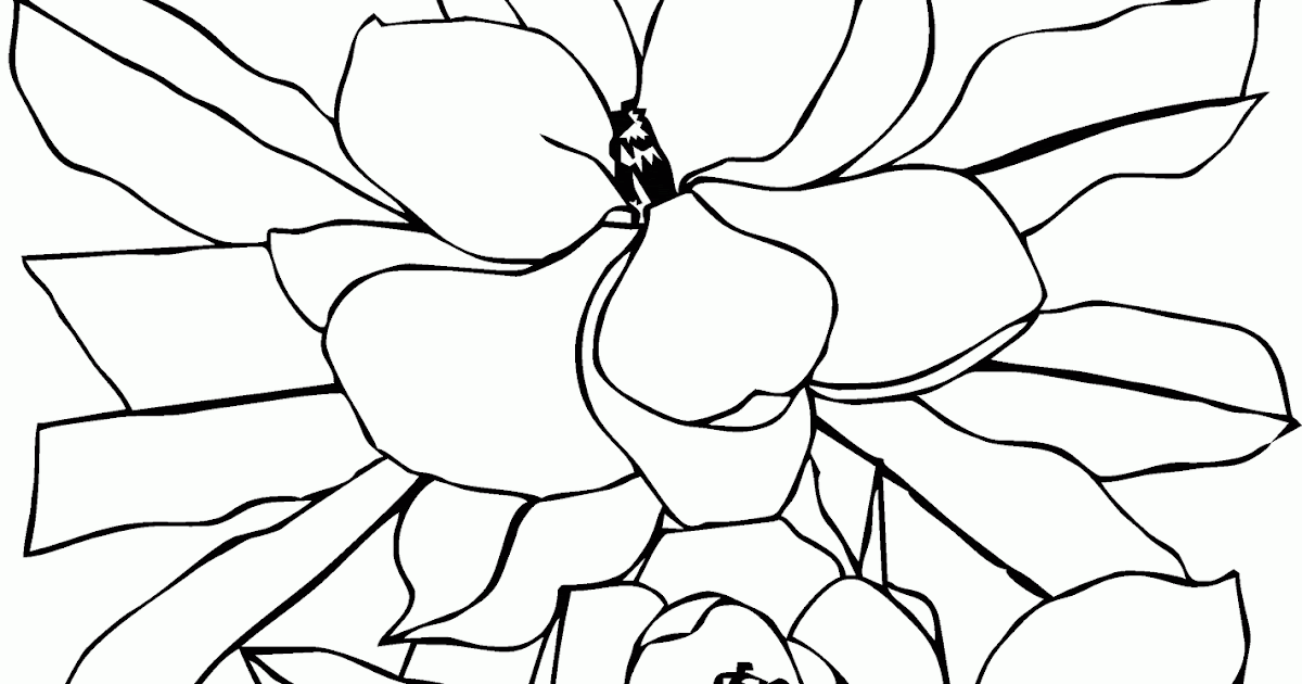 Mewarnai Gambar Bunga Magnolia - Contoh Anak PAUD