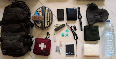 Foto de Rogério Madeira. Palmela, 21.02.2016