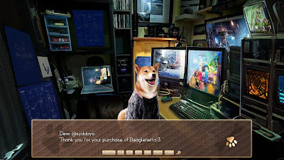 A Summer With The Shiba Inu Game Screenshot 4