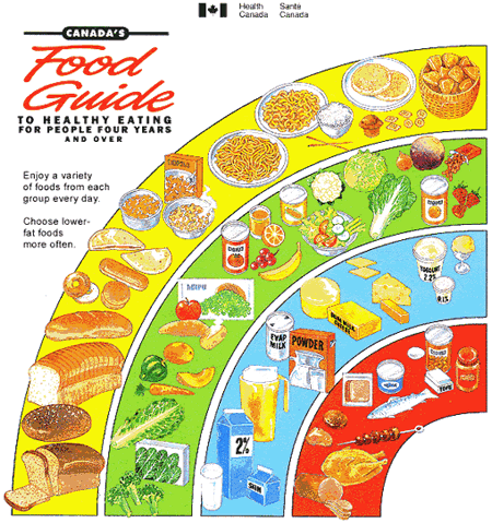 Healthy Food of World Afflopedia