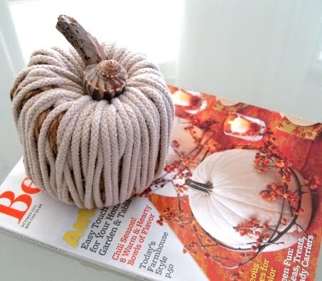 Easy Decorative Pumpkin Craft with Rope