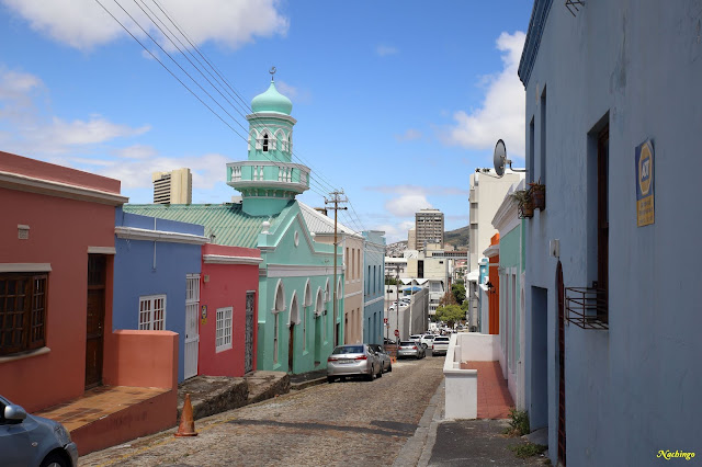 Ciudad del Cabo y Garden Route - Blogs of South Africa - 20-11-18. Primer día en Ciudad del Cabo. (6)