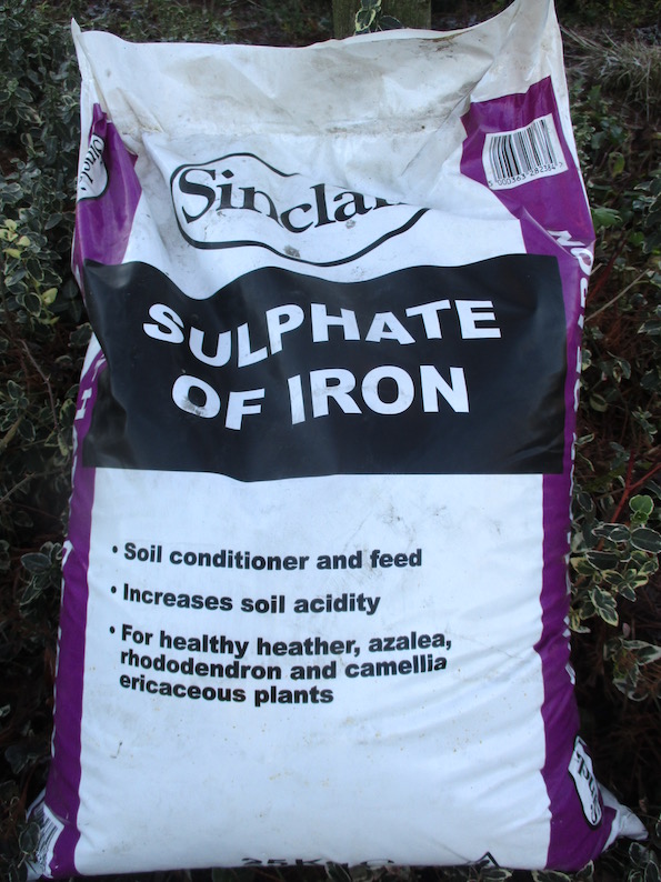 Roger Brook the no dig gardener Iron sulphate for lawn moss control
