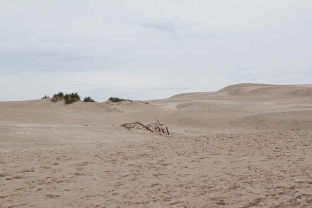 Dune di sabbia vicino Skagen