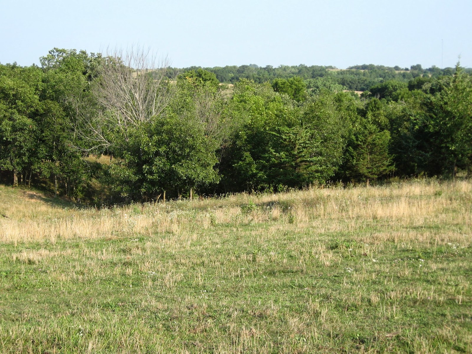 James Stapleton Lewis Families Project Mount Pisgah, Iowa