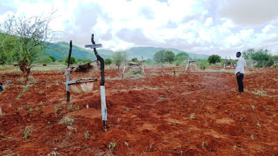 p1020335.jpg