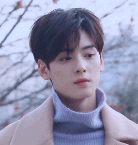 Before & after weight loss of Astro Cha Eunwoo - K-POP, K-FANS