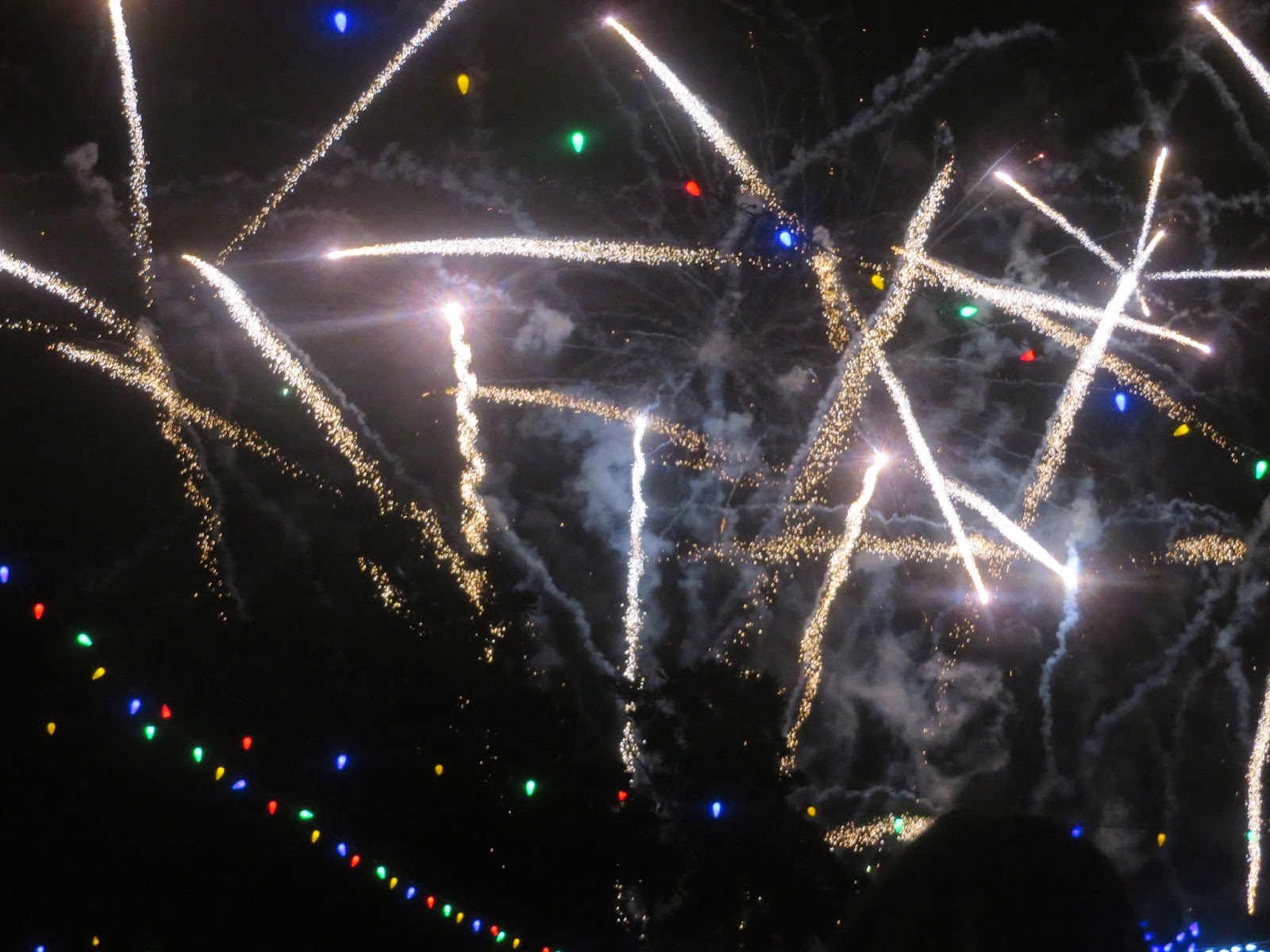 PrunePicker Natchitoches. Christmas lights and fireworks.