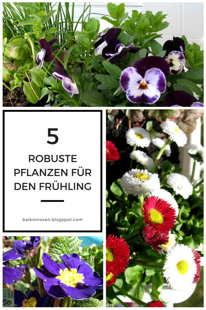 pflanzen für den frühling