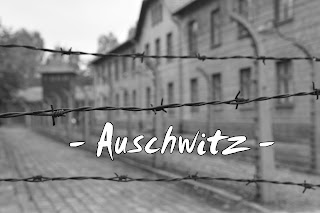 http://www.vipavi.es/2016/01/auschwitz-en-imagenes.html