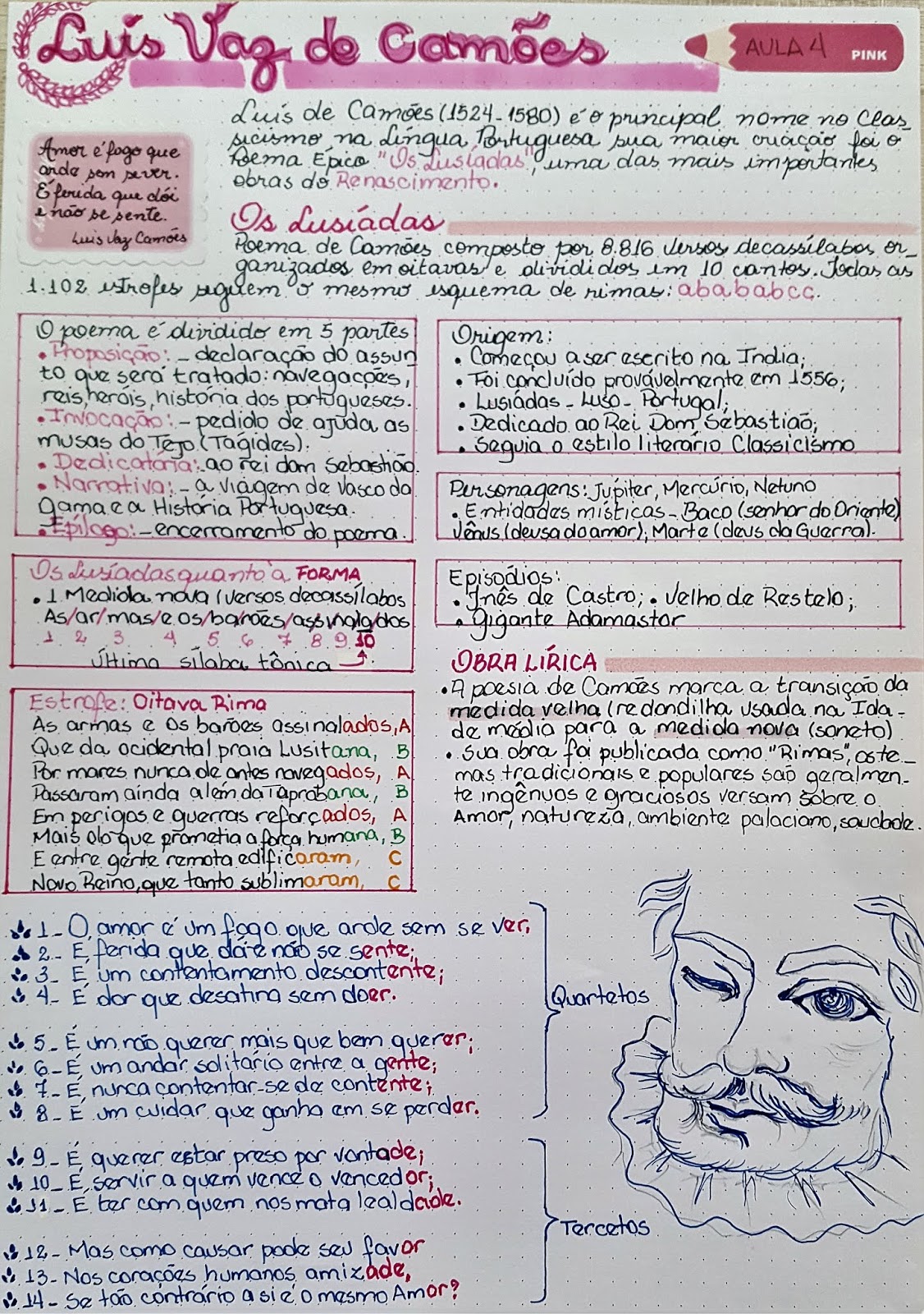 Meu Guia Preparatorio Para O Vestibular Resumo Camoes