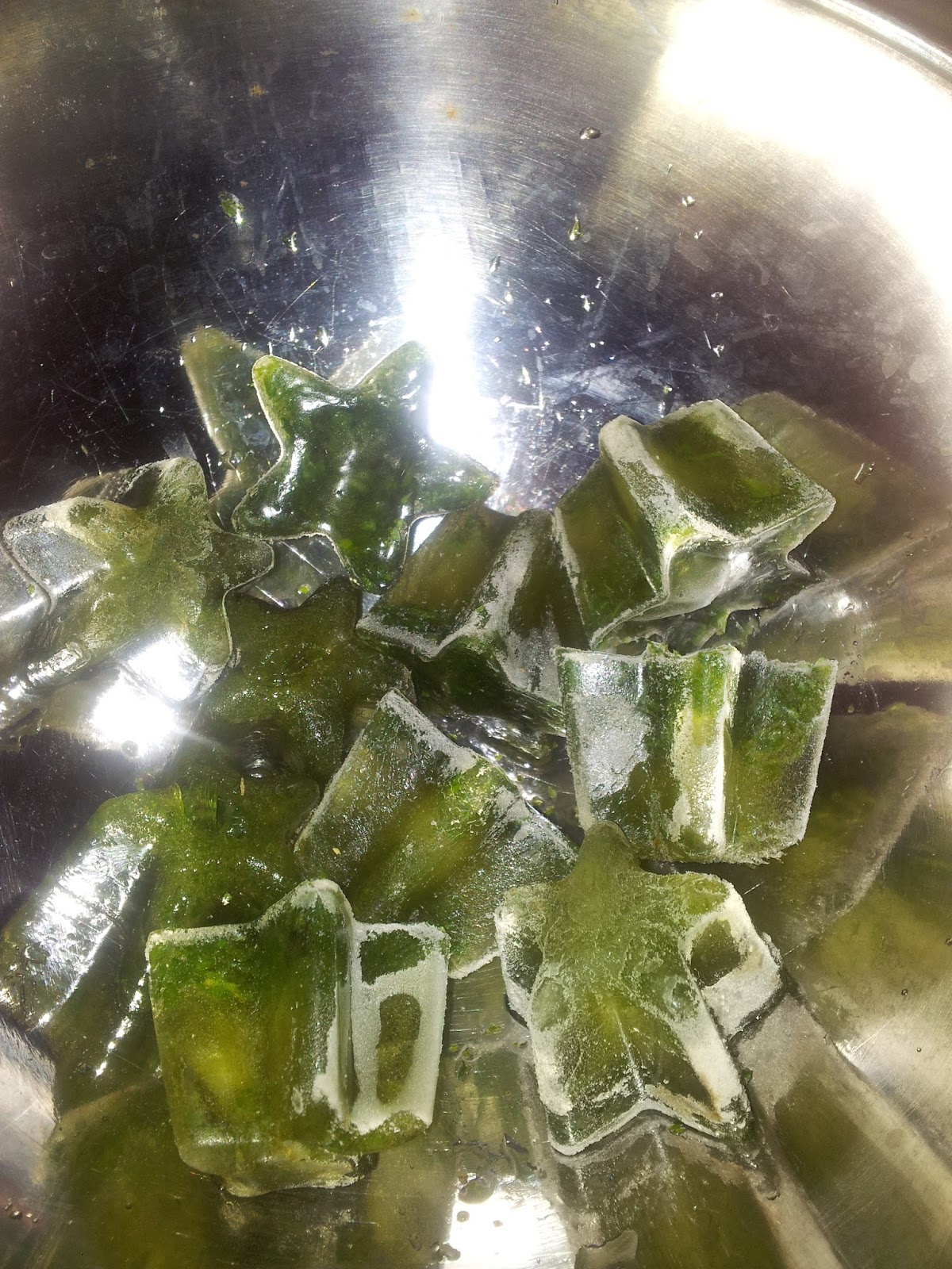 Beauty in Basil Basil Ice Cubes RIP Basil Plant 2