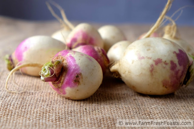 A bunch of turnips from the farm share, warts, dirt, roots and all.