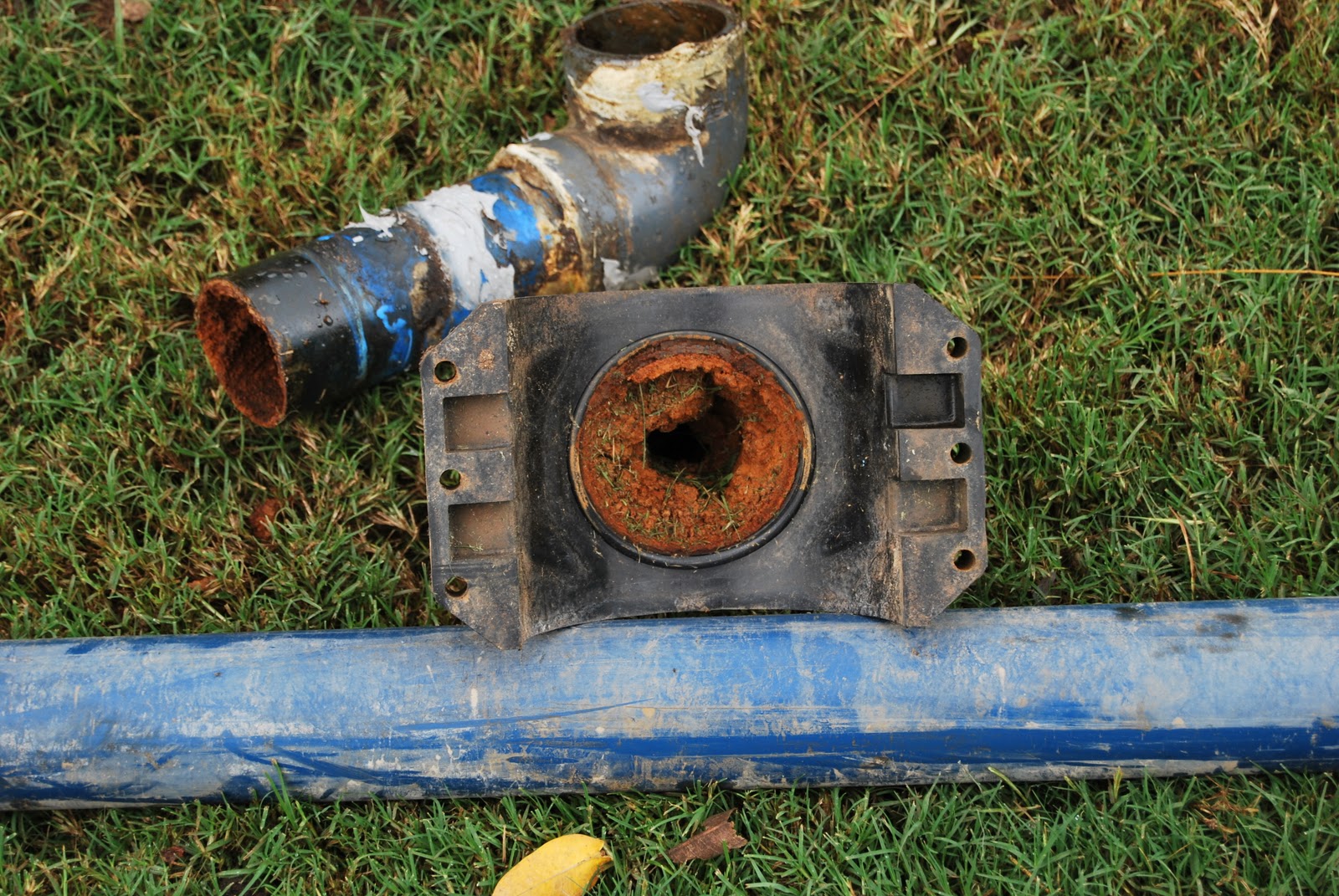 Durban Country Club Golf Course Iron Bacteria killing the irrigation