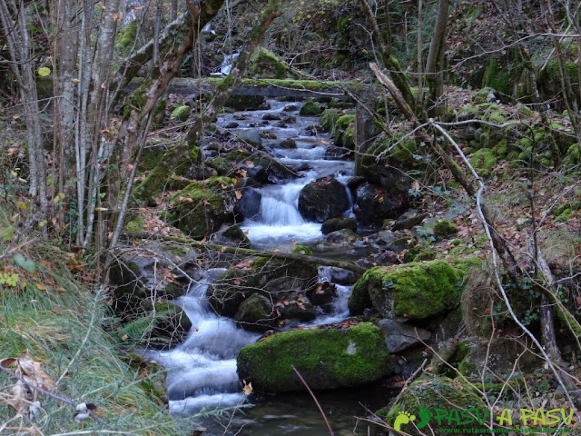 Arroyo en el Valle del Coto de la Pola