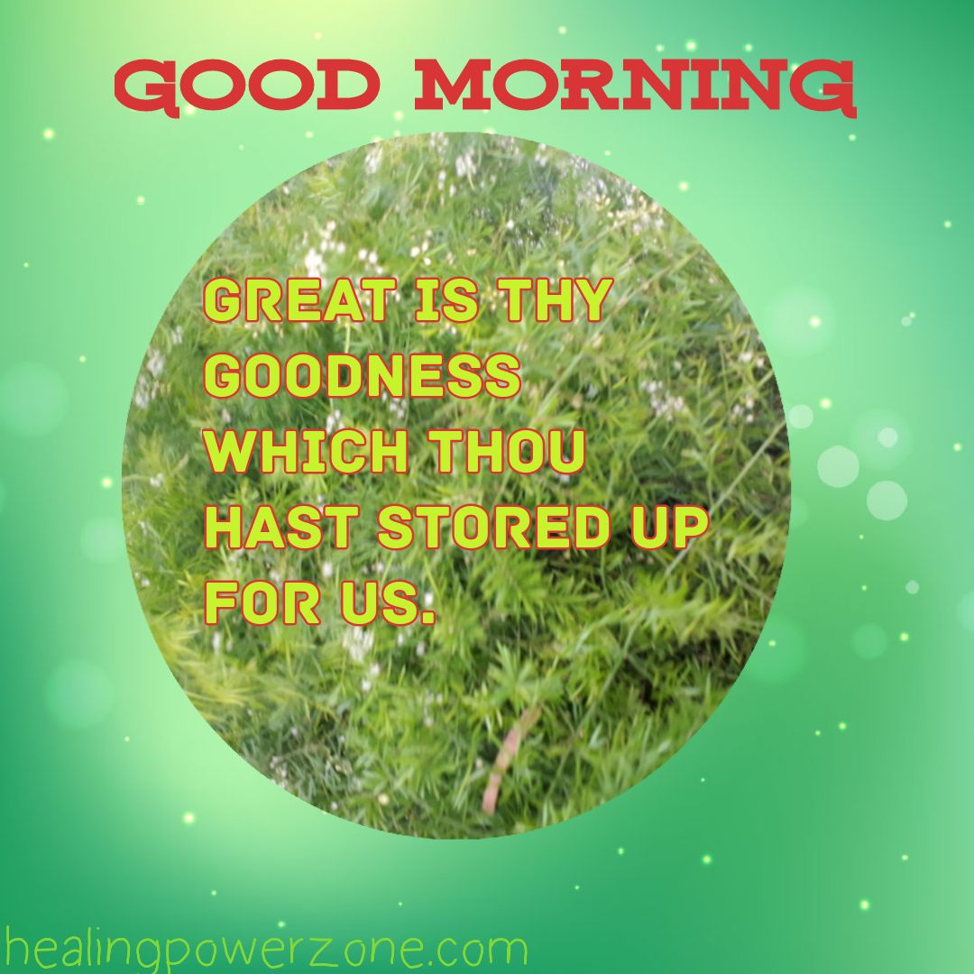 Healing Power Zone: Good morning with Bible Quotes
