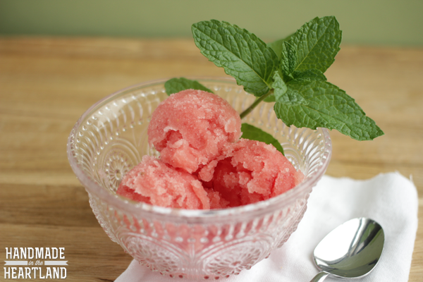 Fresh Watermelon & Mint Sorbet Recipe