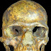 Fóssil comprova que humanos tiveram relações com neandertais