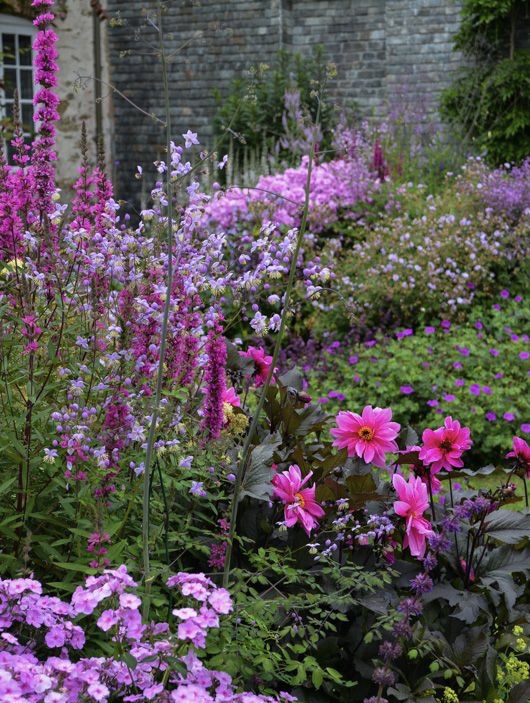 My Enchanting Cottage Garden 7 Steps to Creating a Quaint English Garden