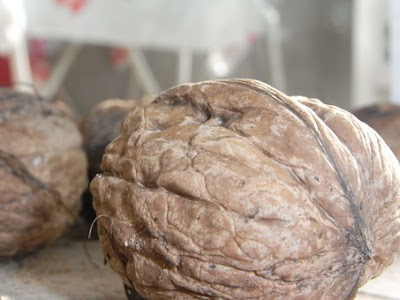 manfaat-kacang-walnut-bagi-kesehatan,www.healthnote25.com