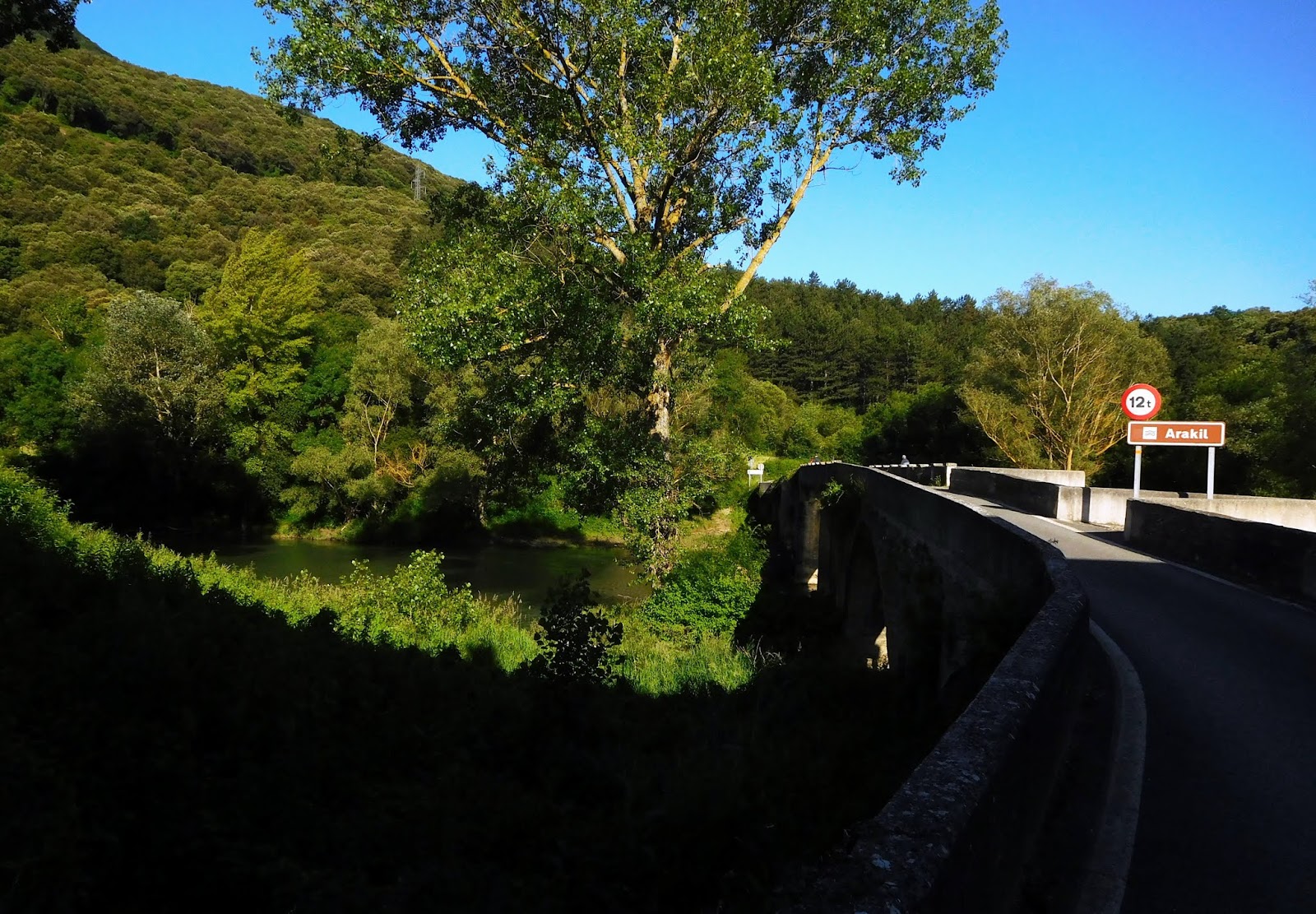 TXURREGI desde ERROTZ 4