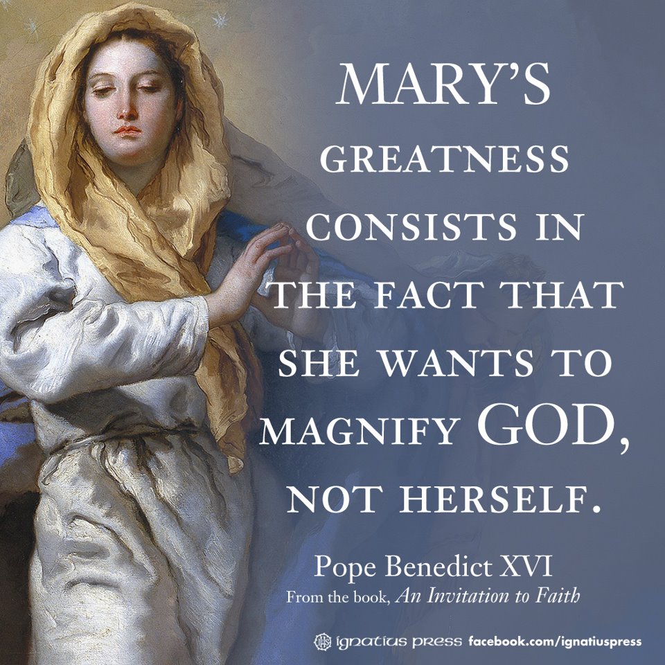 Something About Mary Reach For Mother Mary You Shall Not Walk Alone Something About Mary Reach For Mother Mary You Shall Not Walk Alone