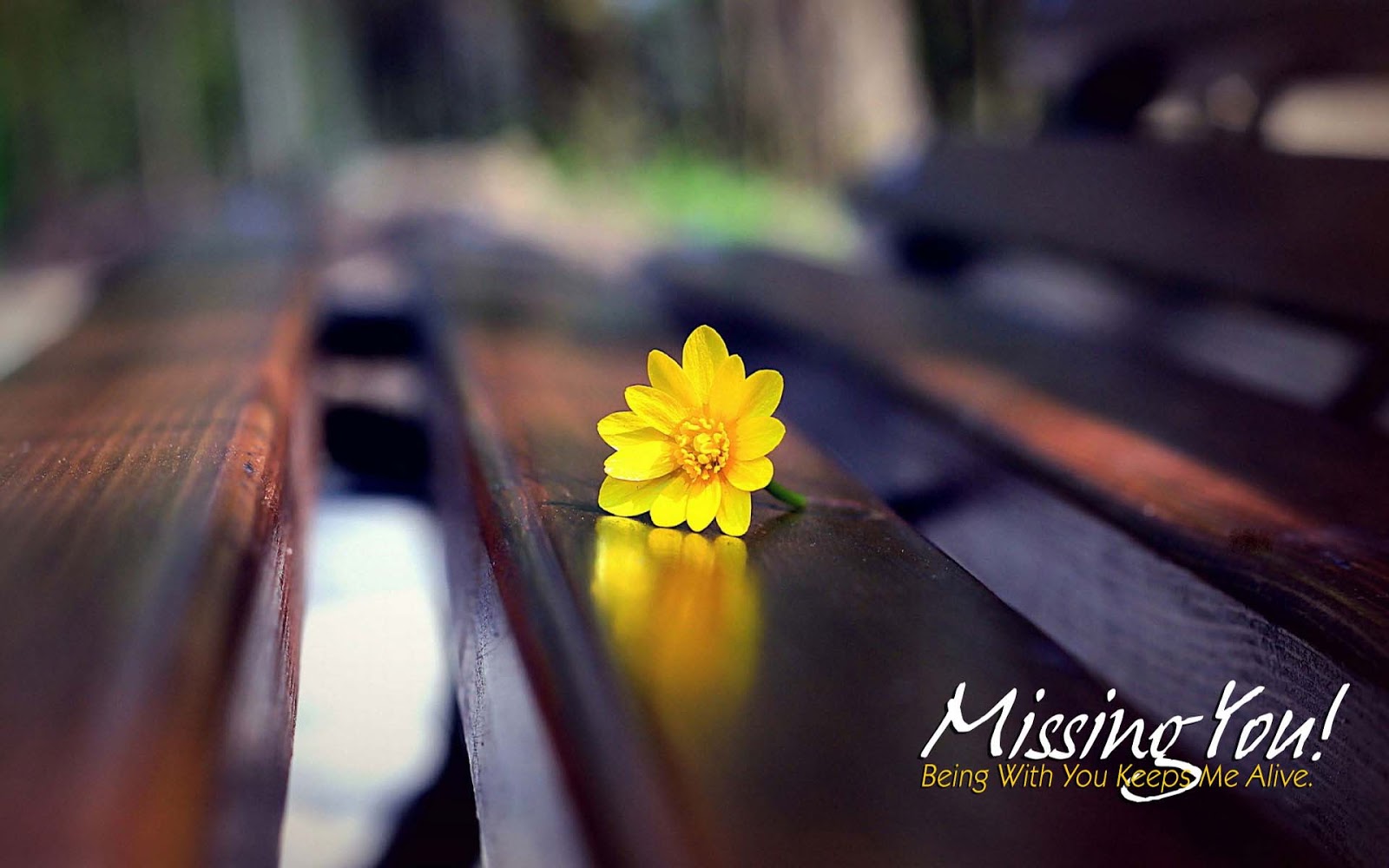 Mix wallpapers Allfreshwallpaper