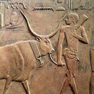 سلسلة تاريخ مصر - خوانانوب الفلاح الفصيح 2