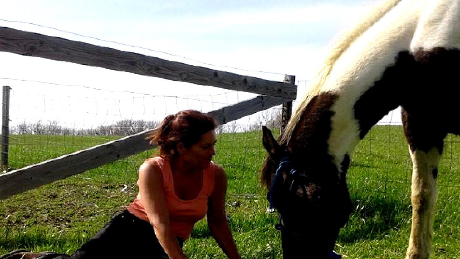 Horse Riding Lessons Columbus Ohio Horse Choices