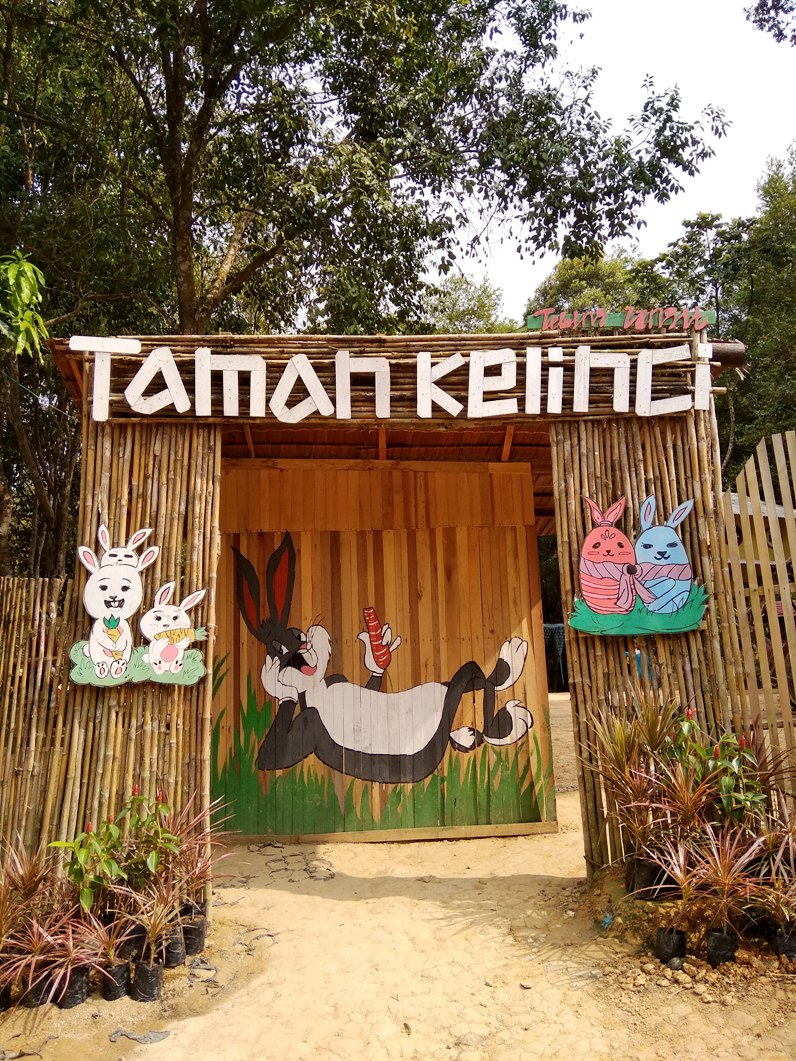 Wisata Murah Kekinian Taman Kelinci Batam Winda Wijayanti Wisata Murah Kekinian Taman Kelinci Batam Winda Wijayanti
