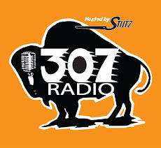 307 Radio