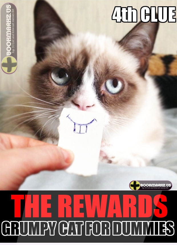 Grumpy Cat for Dummies, 5 Facts About Her | Top 10 List