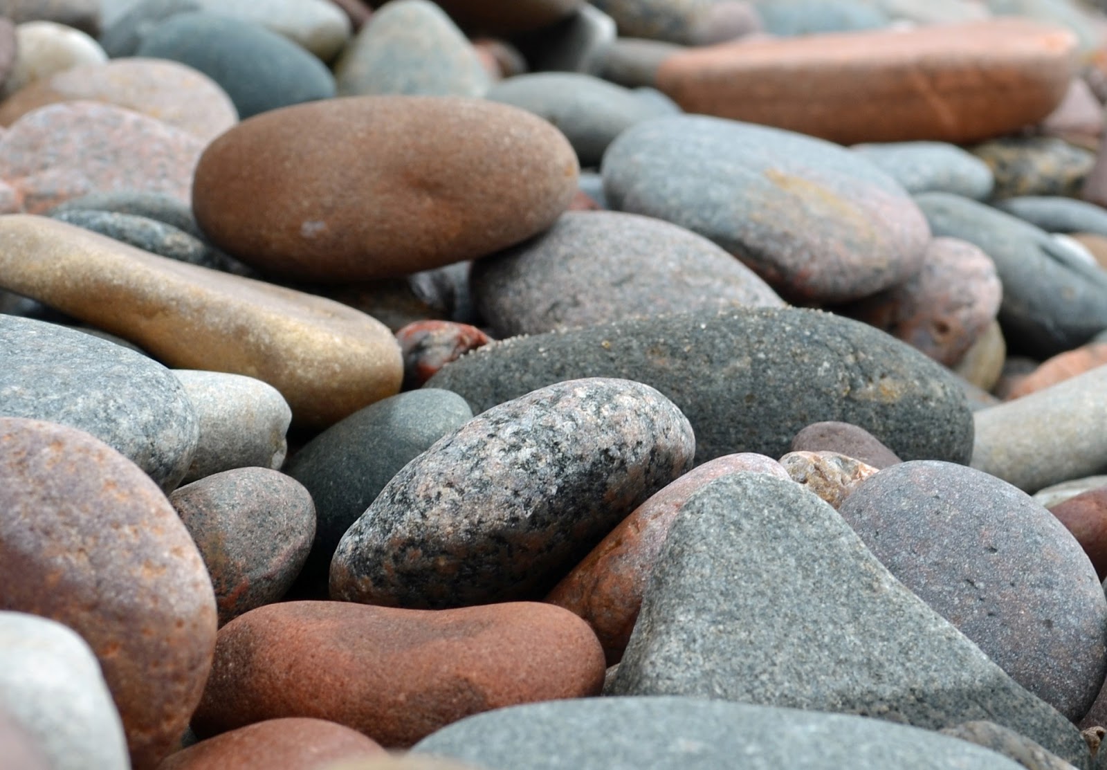 Christian Brothers Near Me >> There Are More Things In Heaven And Earth Early Pebbles A Christian Brothers Near Me >> There Are More Things In Heaven And Earth Early Pebbles A
