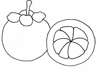 Sketsa Buah Manggis Sketsa Buah Manggis