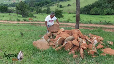 Bizzarri escolhendo pedras para fazer um jeito fácil de escada de pedra no jardim. Na foto escolhendo pedra para escada do tipo pedra chapa de moledo com cantos. Pedra moledo de tamanhos variados entre 0,40 a 1,00 m com espessura entre 10 a 20 cm. Tipo ideal para escada de pedra com junta de grama, podendo ser assentada solta na terra ou com cimento, areia e terra.