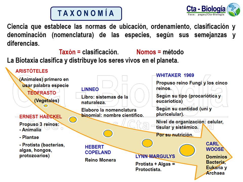Biología didáctica Taxonomía