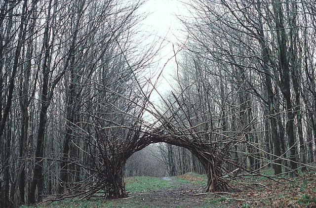 Arte y naturaleza: Andy Goldsworth 9