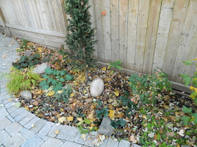 Toronto Cabbagetown garden makeover before by Paul Jung Gardening Services Inc