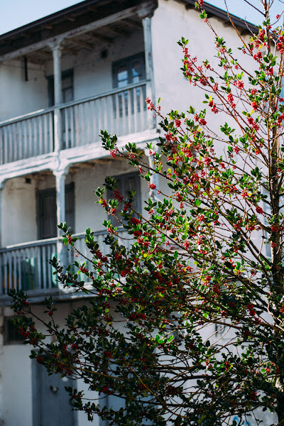 Fin de semana El Bierzo. Mini-Guía