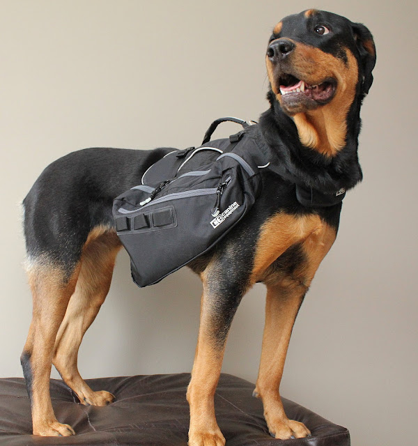 Canine Equipment Backpack Dog