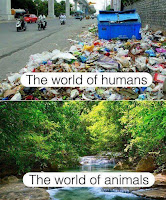 Civilizatie vs Natura