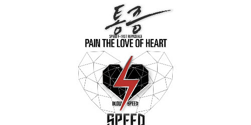 SPEED - Pain, The Love Of Heart Indonesian Translation